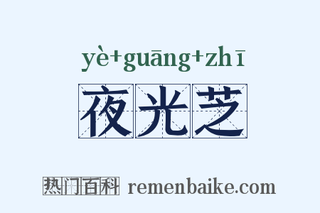 夜光芝是什么意思的图片